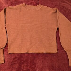 Pink Rose Cinnamon Knit Top